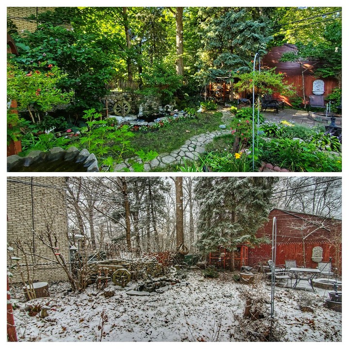 Summer☀️ / Winter❄