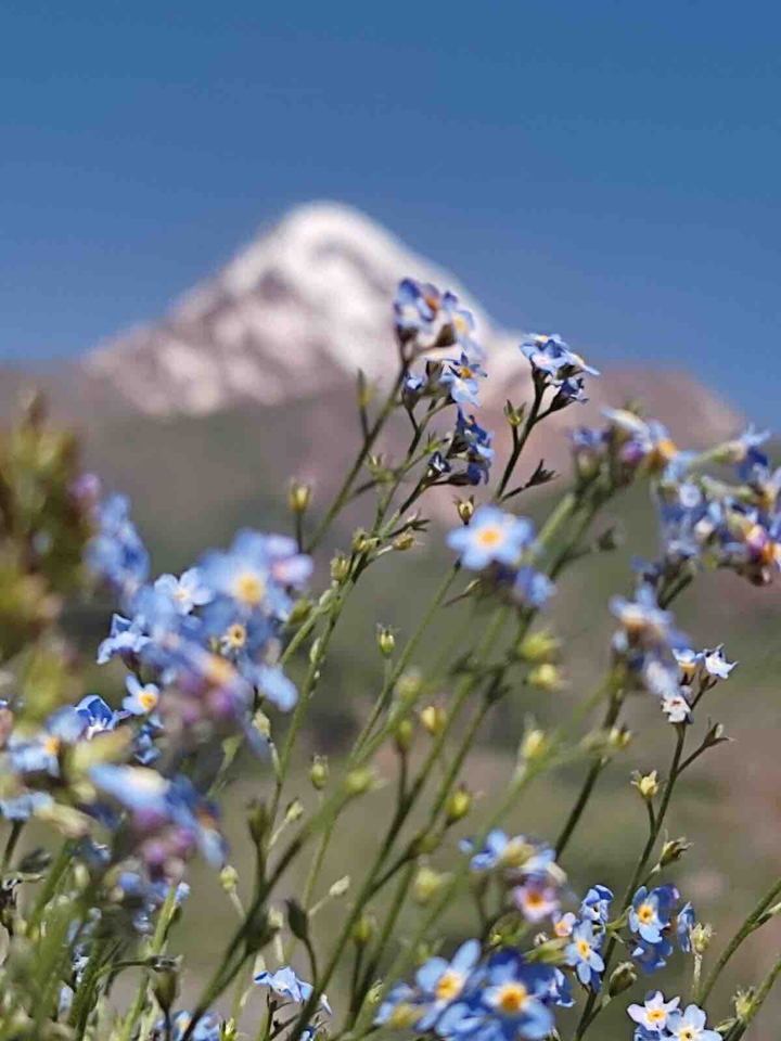 kazbegi