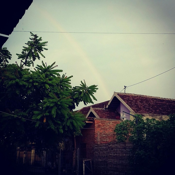 pelangi