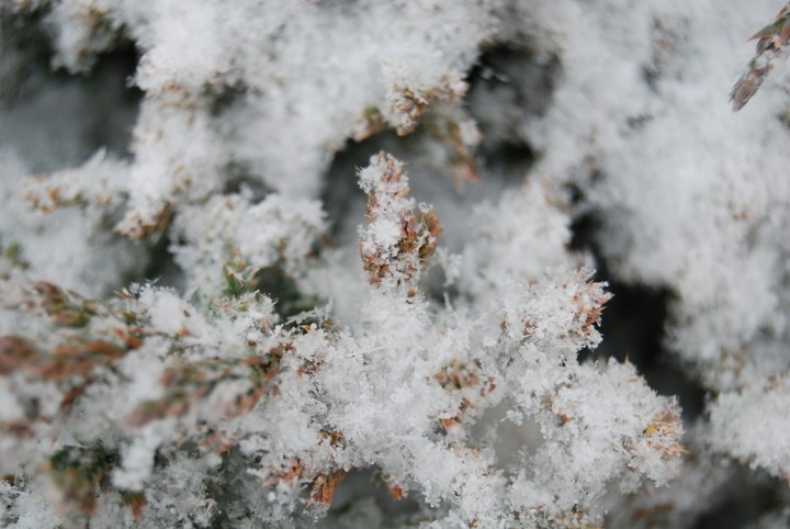 snow