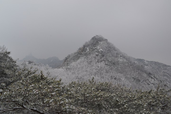 관악산의겨울이미지