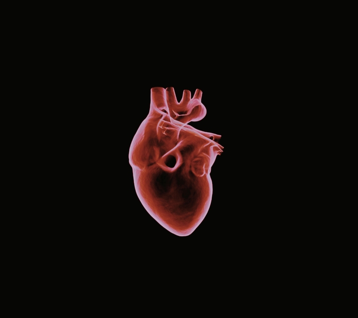 heart