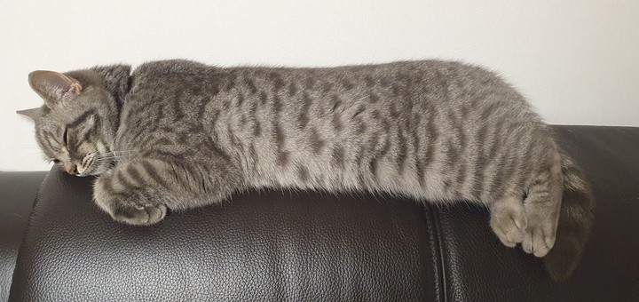 포근함