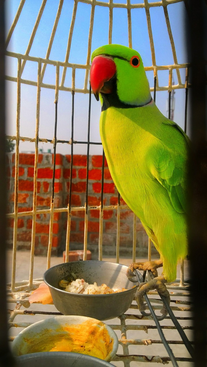Anurag mobile photography.