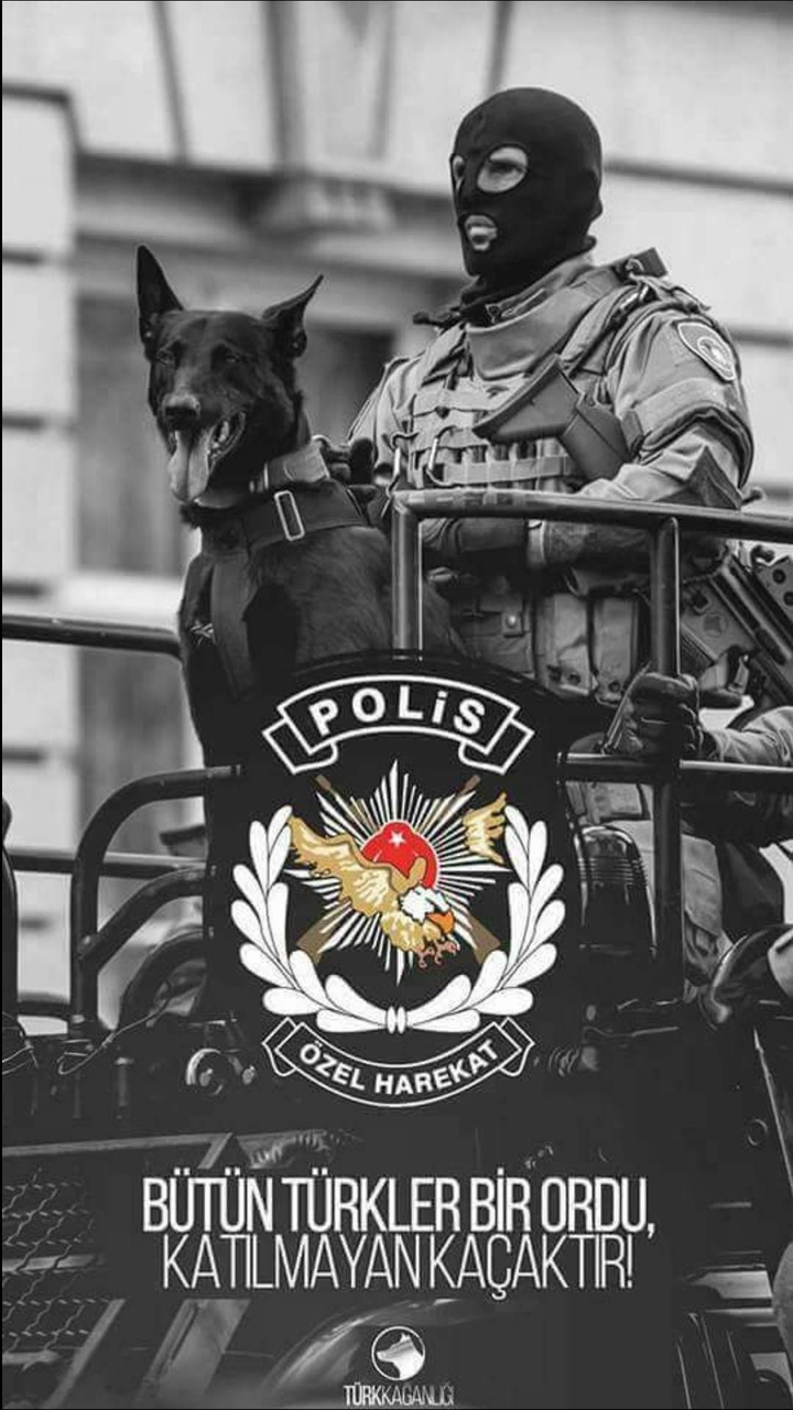 #türk #wolf #ayyıldız