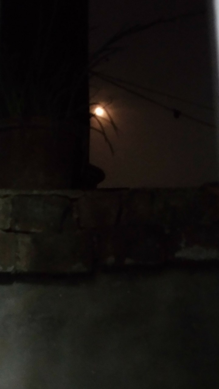 the moon seems to be bringing peace and calmness