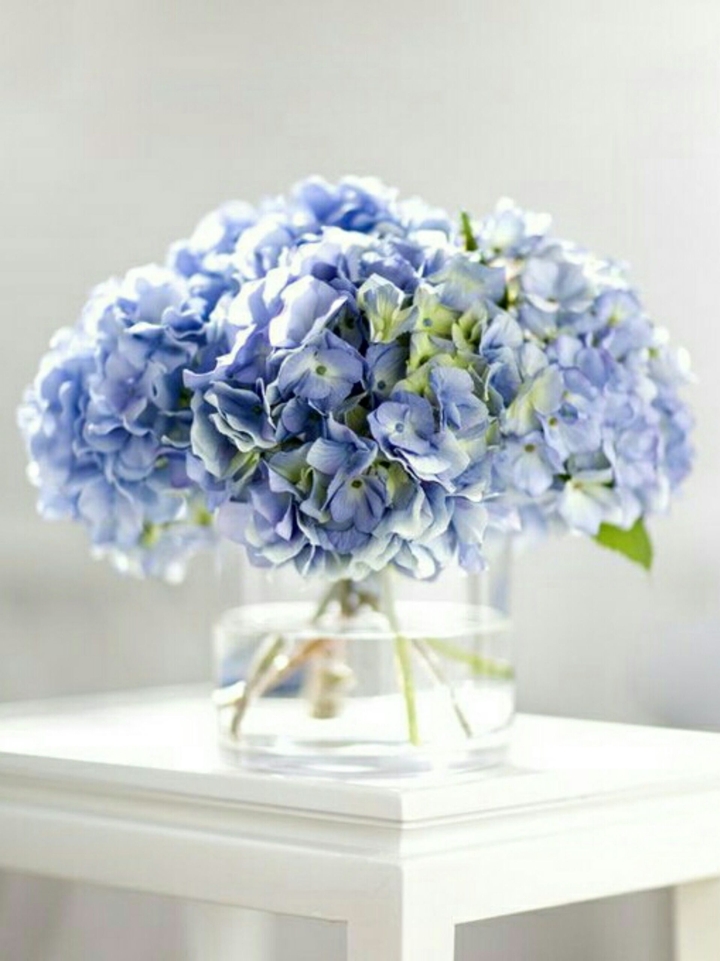 Blue flowers