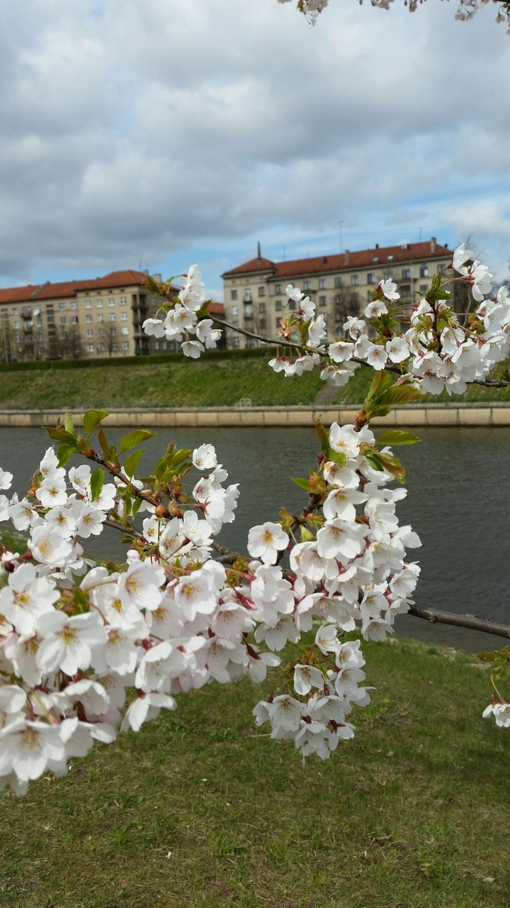 Spring