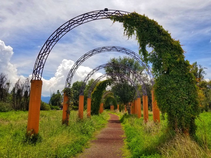 ENTRADA AL LAGO DE XOCHIMILCO Y MÉXICO.