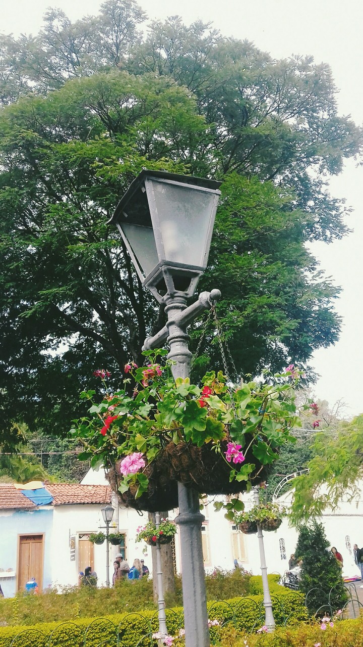 luminária