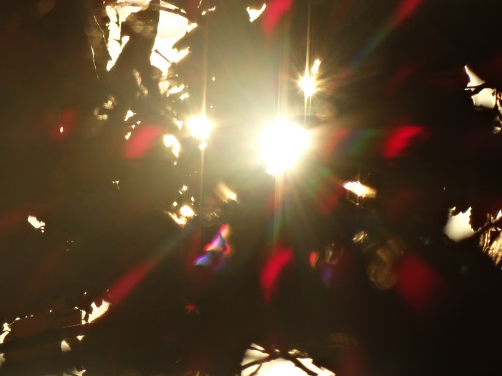 sun