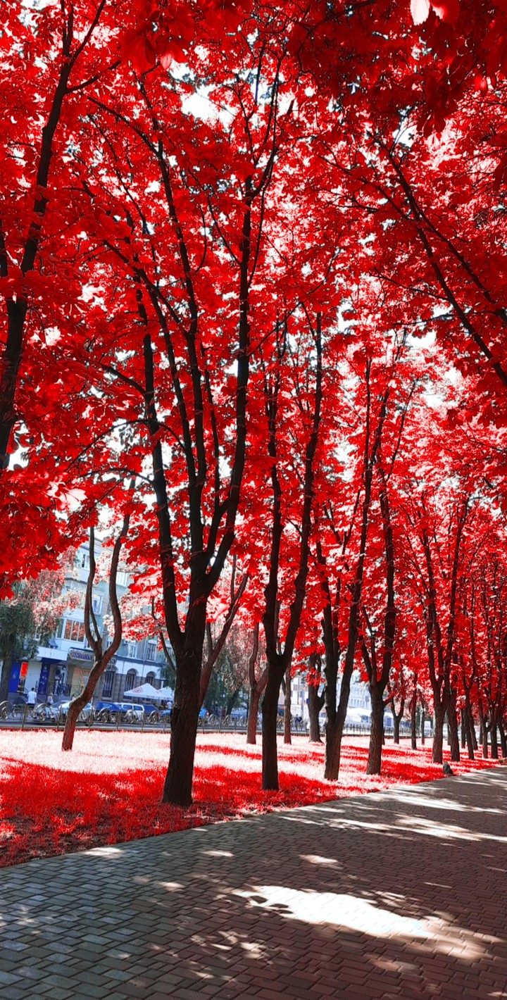 Fall
