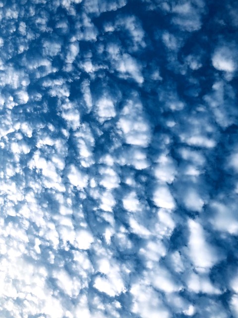 cloud
