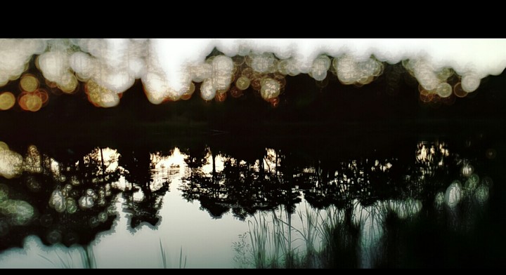 the nature around us ...is beautiful