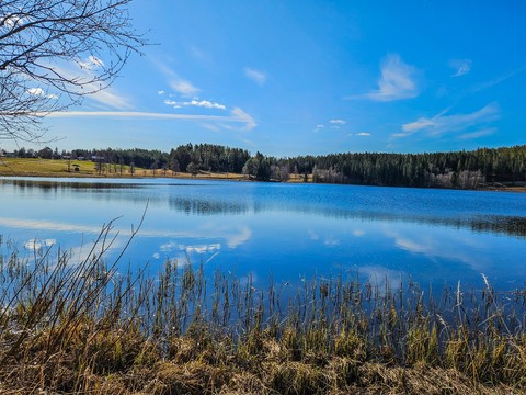 nature, green Hintergrundbilder