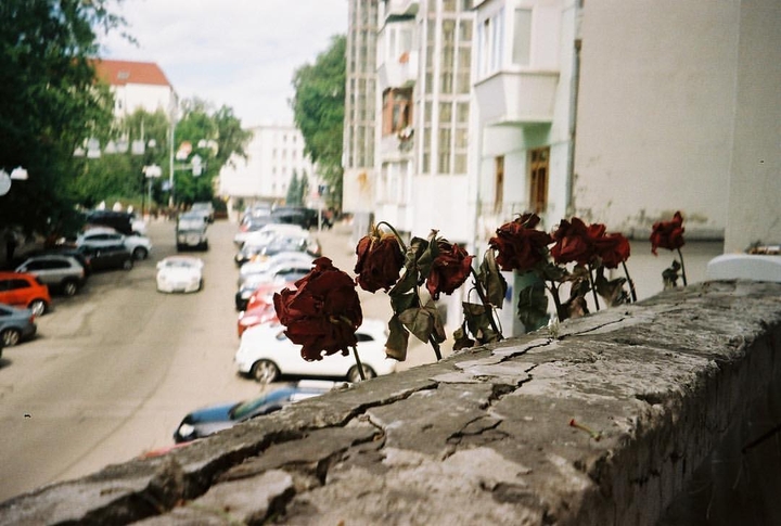 цветы