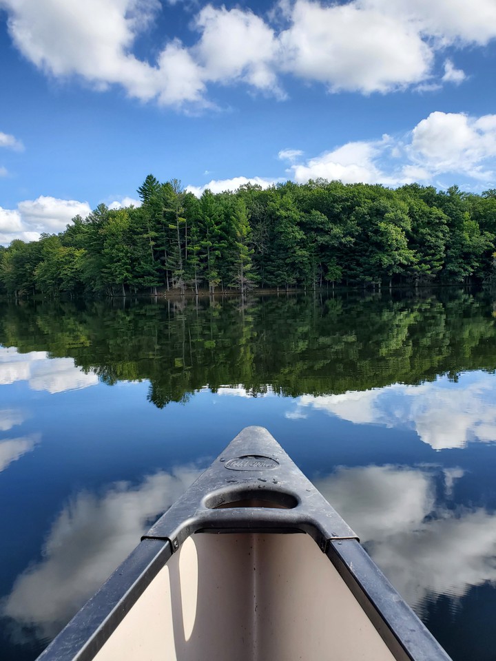 Reflections