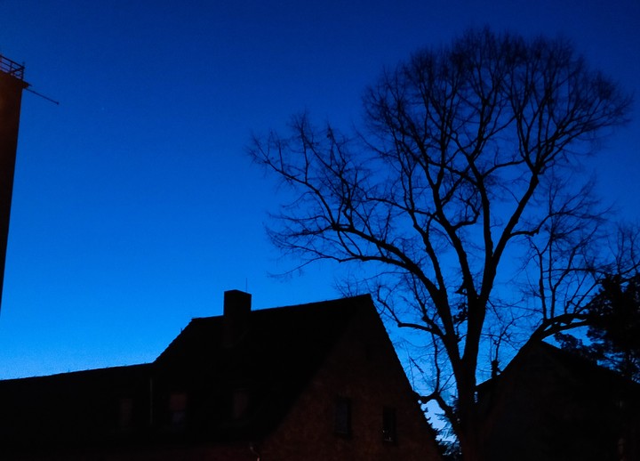 Early Winter Morning