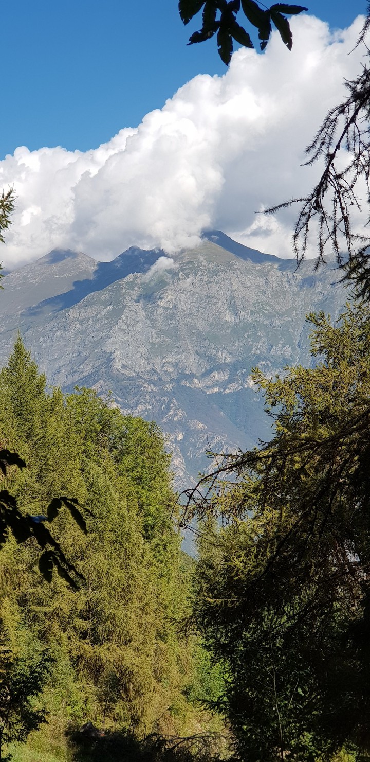 Mountain