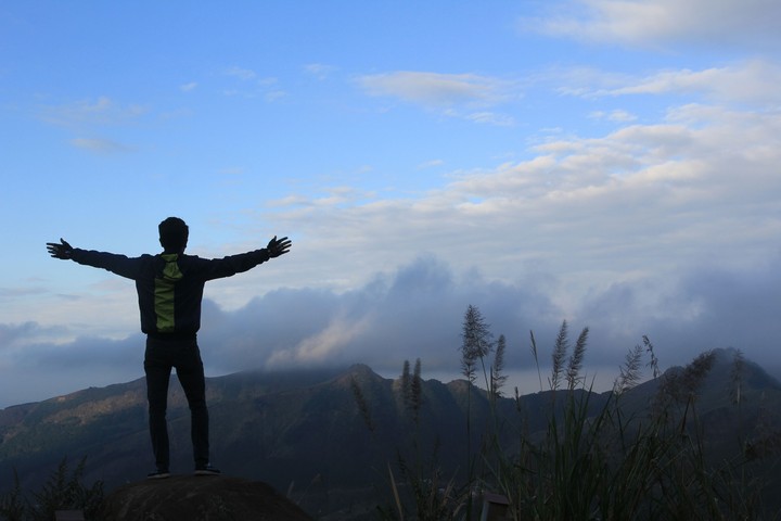 Freedom