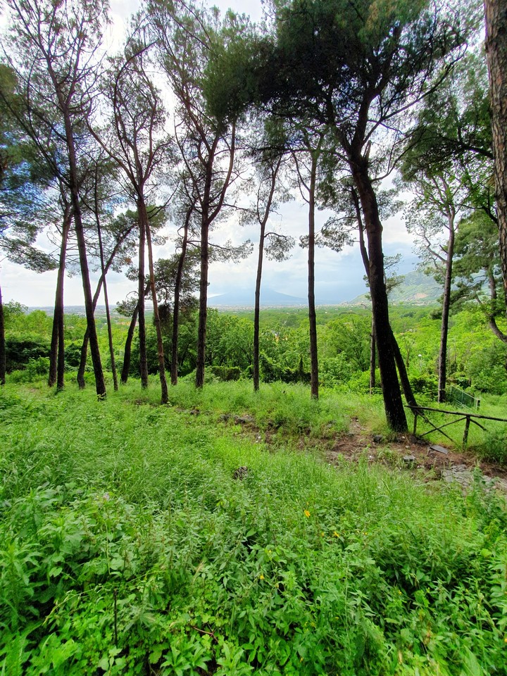 Natura