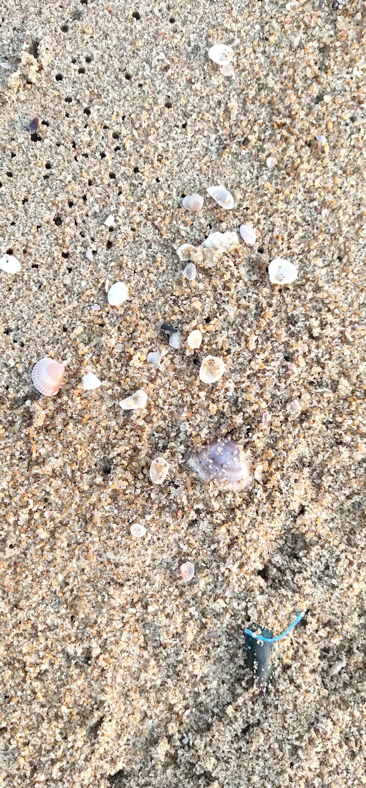 beach