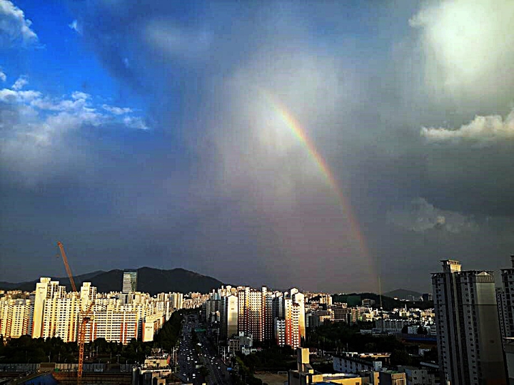 변화무쌍한 도시