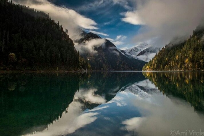 reflaction