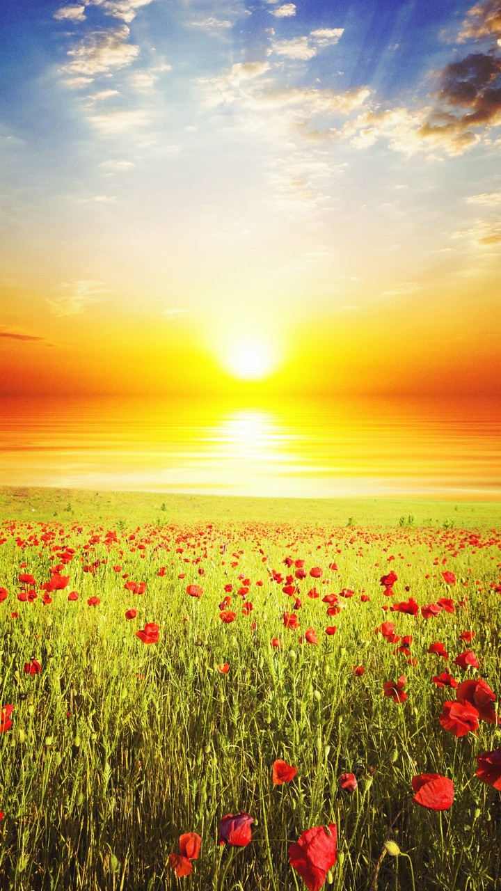 sunrise