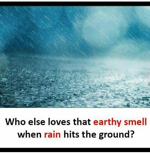Rain