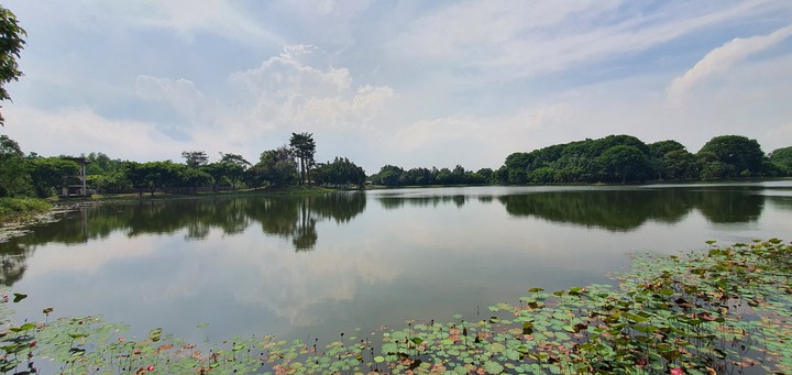 park