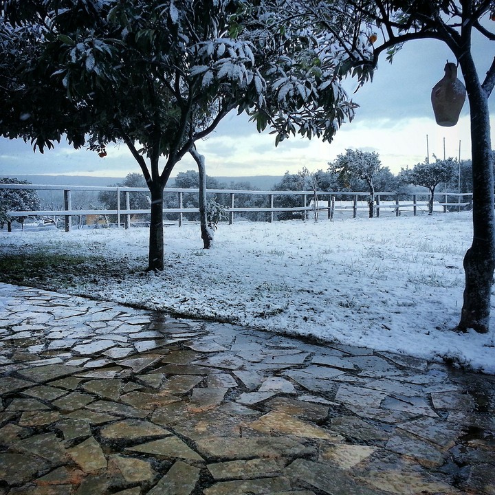 snowing in the sicily? never seen a similar thing