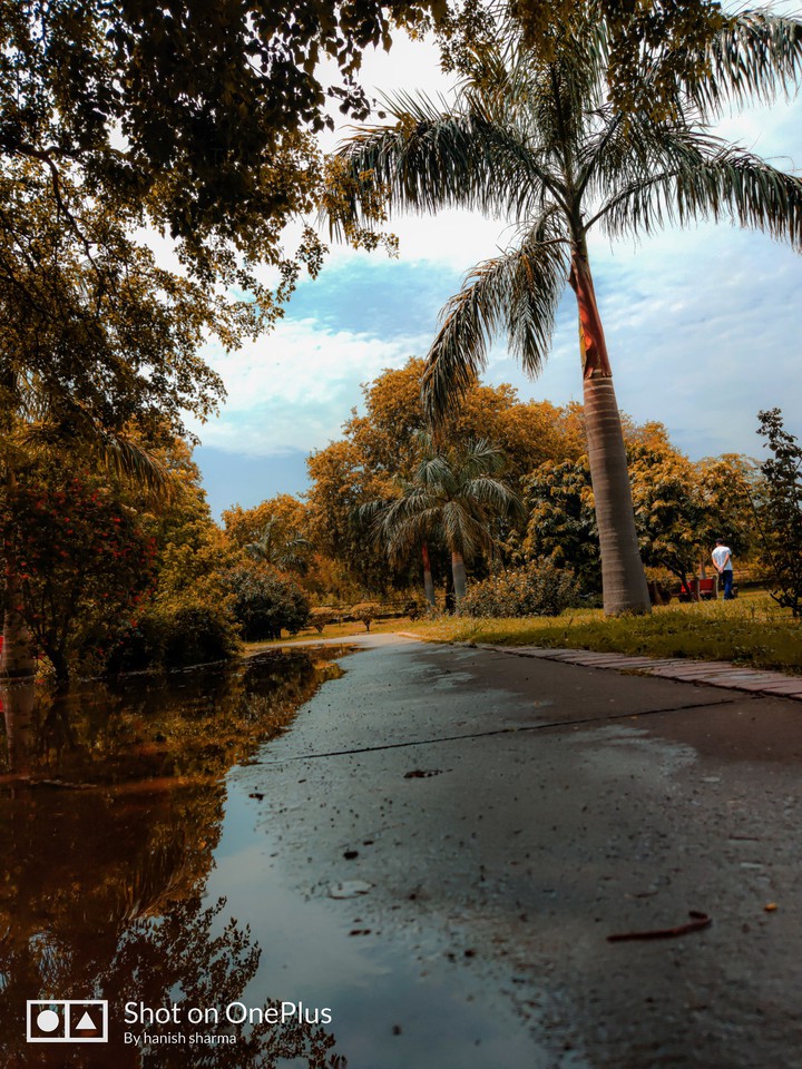 Nature