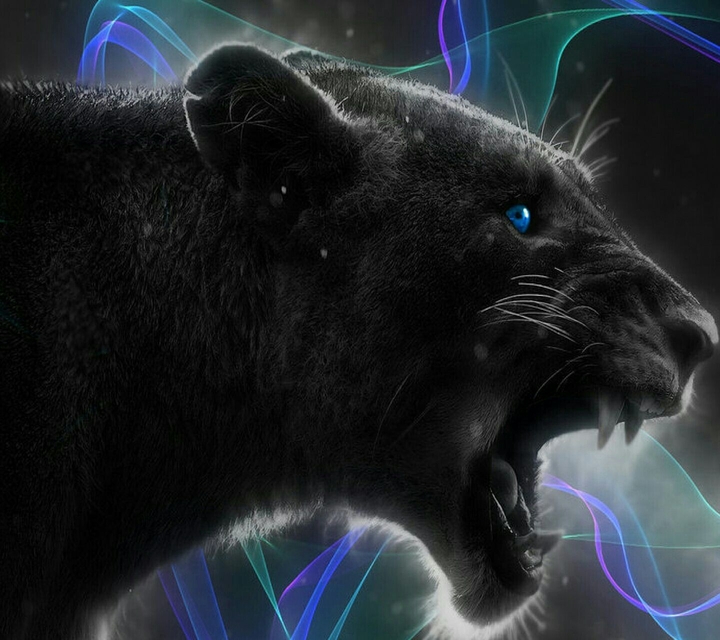 Angry Lioness