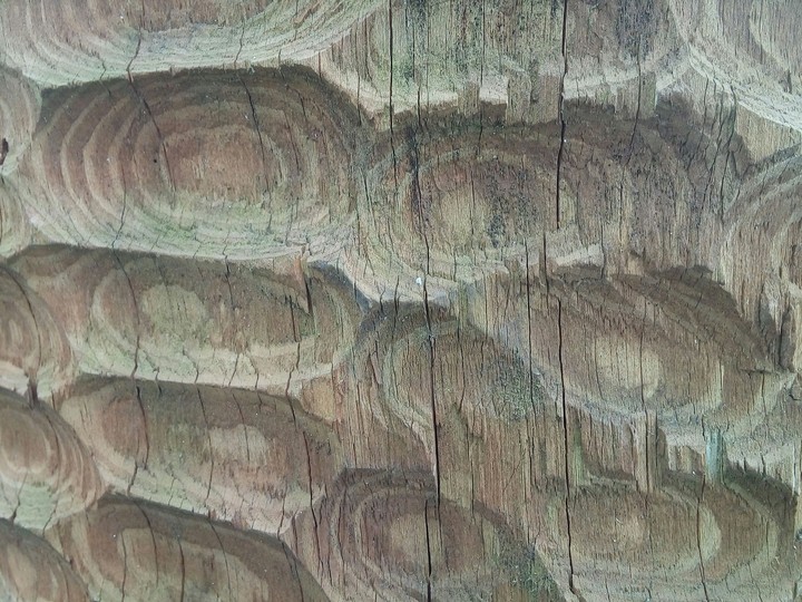 wood old