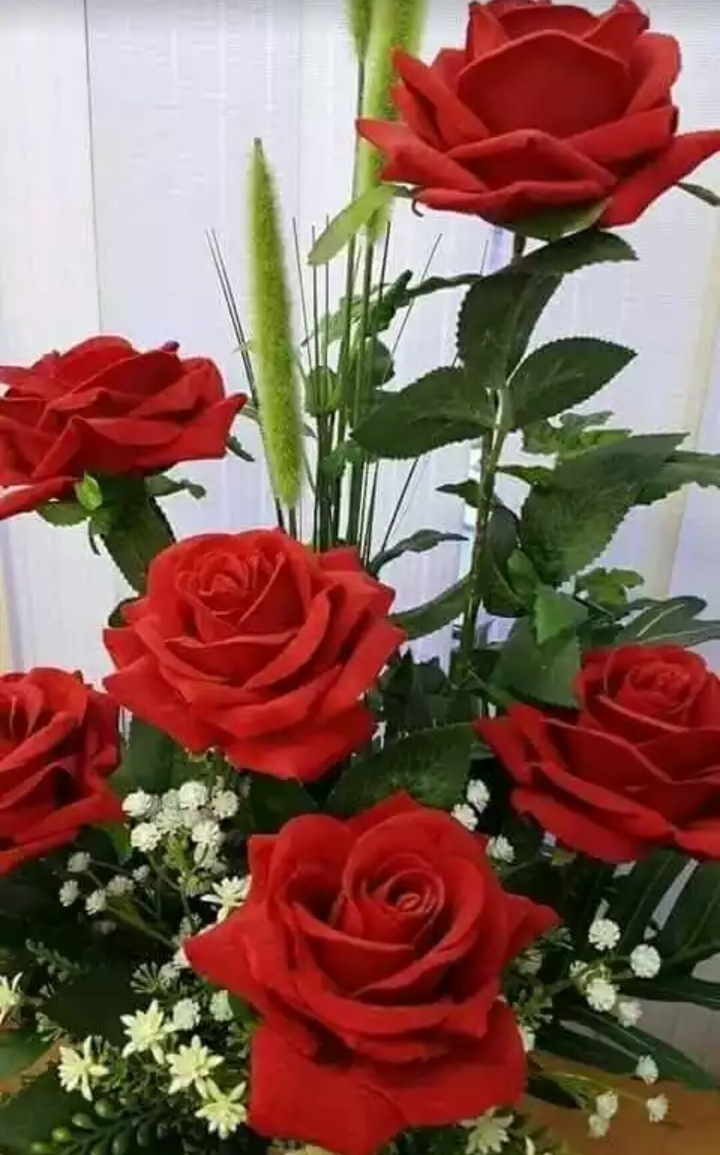 Beautiful rose flowers