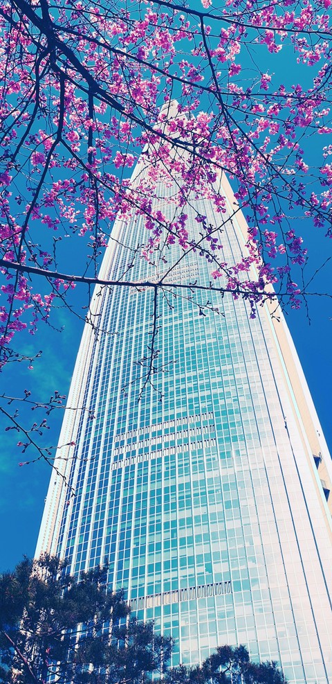 LOTTE WORLD TOWER