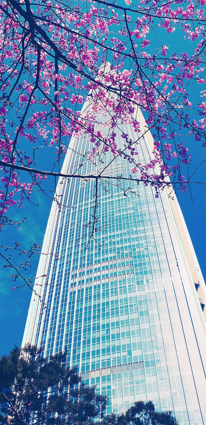 LOTTE WORLD TOWER