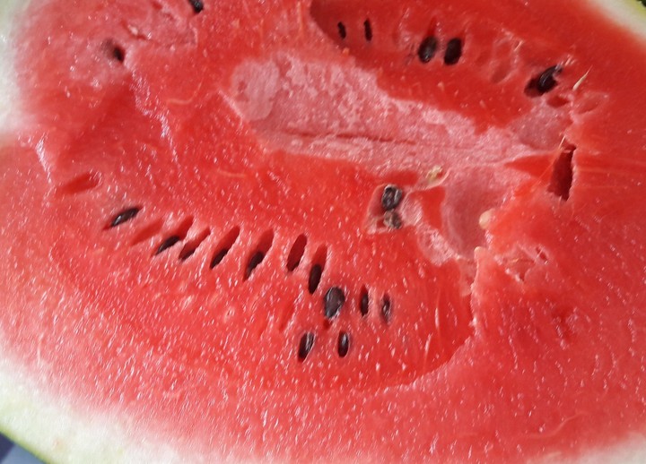 watermelon