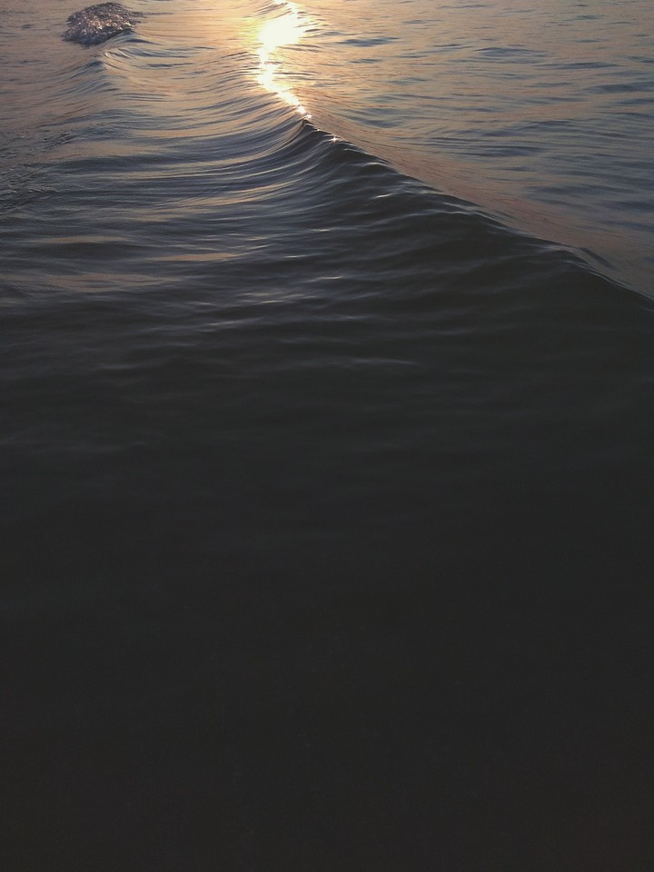 sea light