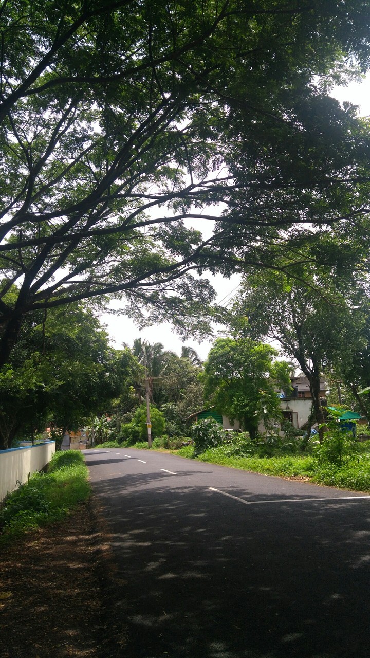 Nature's beauty