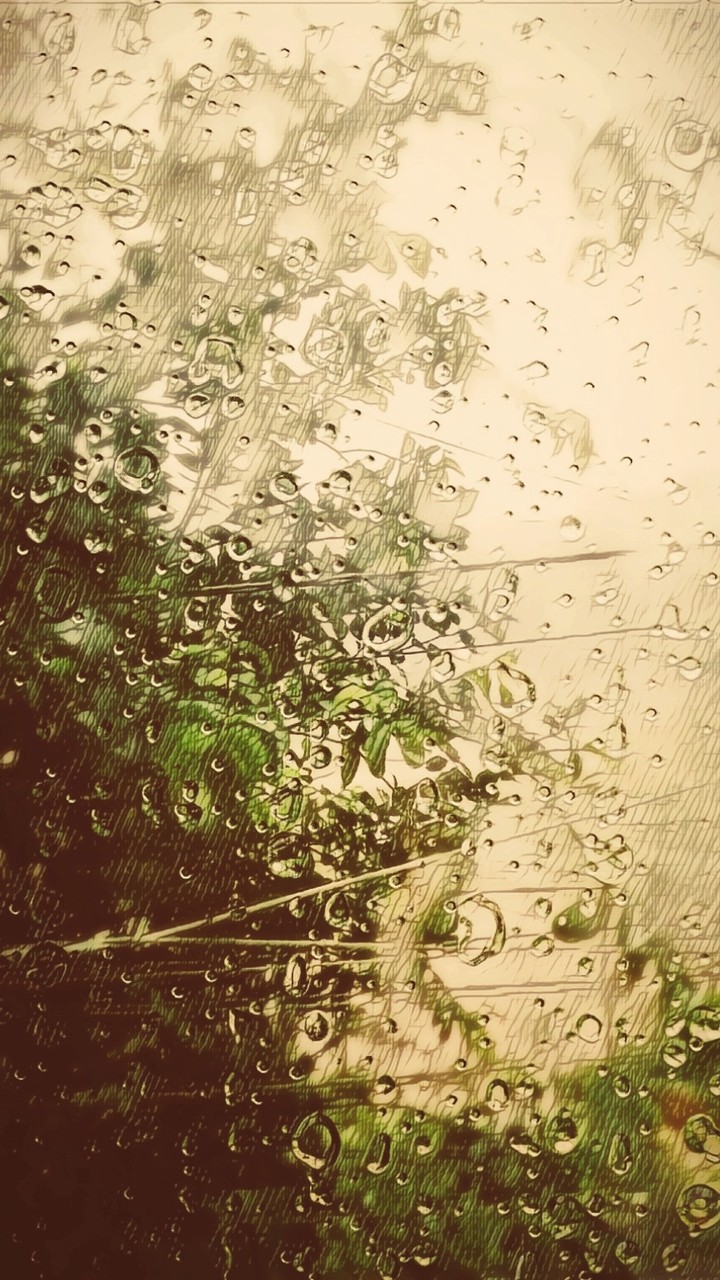 rain