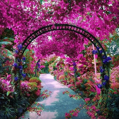 way