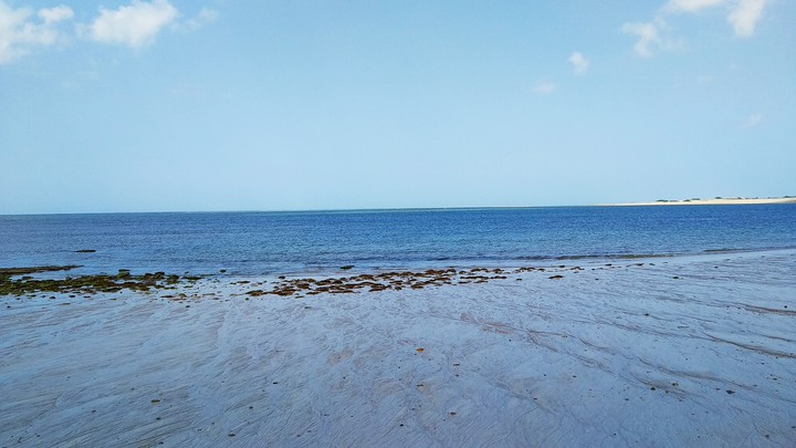 Bold Beach