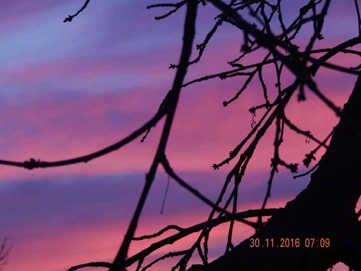 Magic Sunrise