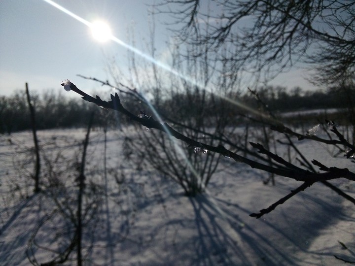 Зима в Украине