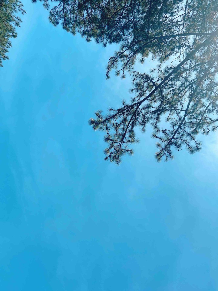 Bluesky