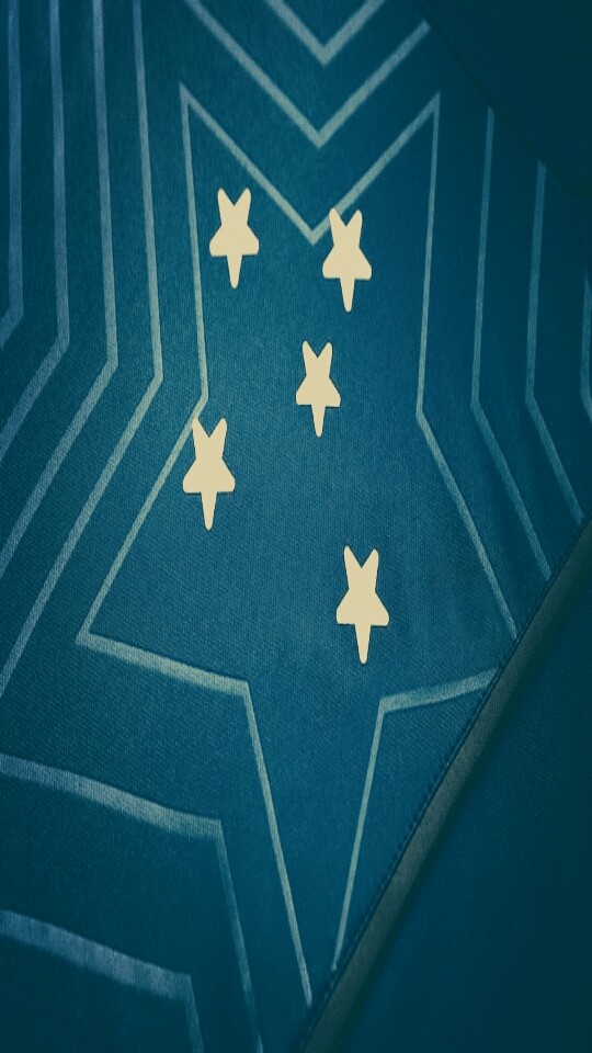 Cruzeiro Esporte Clube