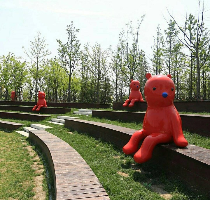 Bear , Look At Me !!