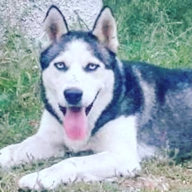 ulaş tuna astepe